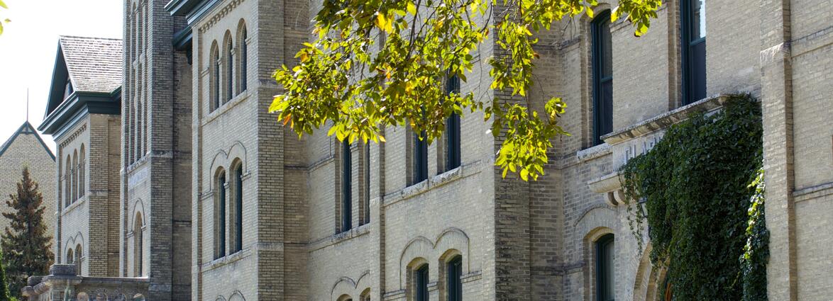 Collection Representative Image