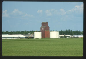 John Everitt slide collection